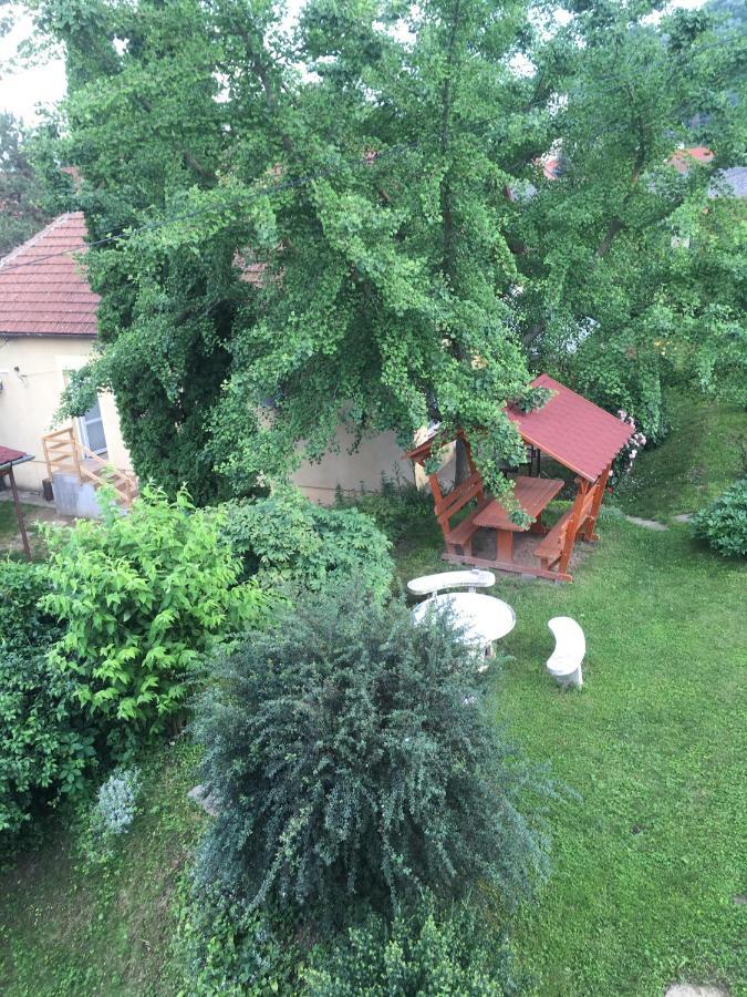Bogoly Apartman Токай Екстериор снимка