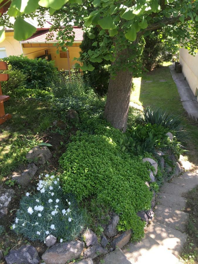 Bogoly Apartman Токай Екстериор снимка